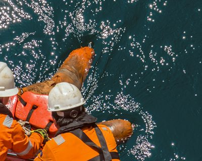 Maritime Man Overboard (OSHA)