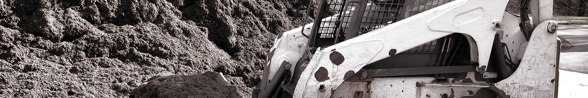 Skid Steer Loader