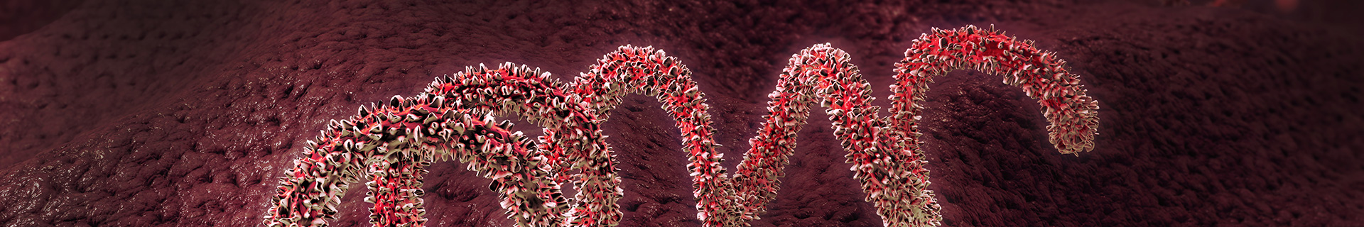 Bloodborne Pathogens