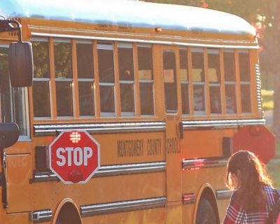 School Bus Cargo and Safety Online