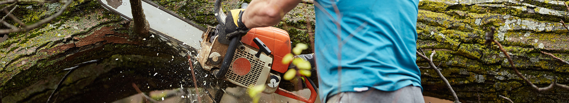 Tree Trimming Safety