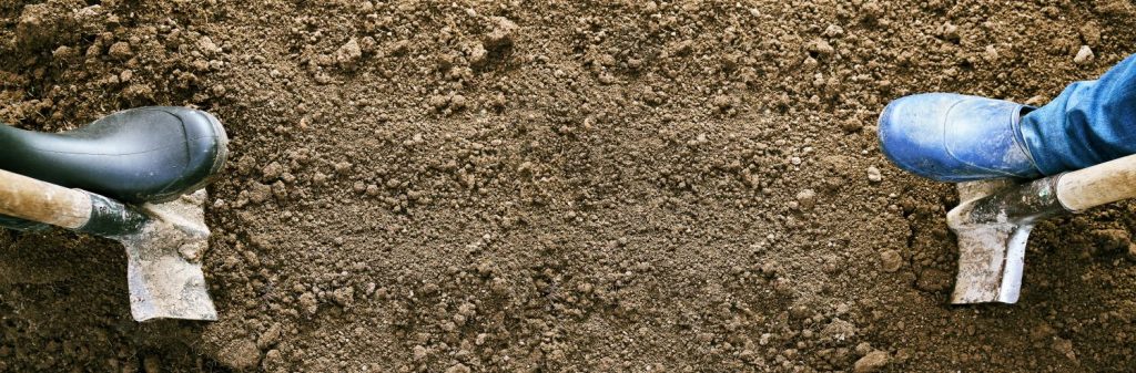 Agricultural work concept with a copy space. Male and female feet in rubber shoes digging ground with shovels on the edges of a long strip of dug earth.