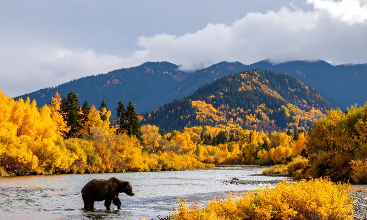 Working Smart in Bear Country: Safety First