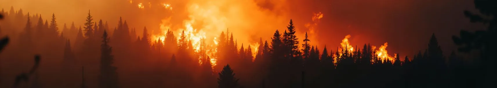 Wildfire Safety Training