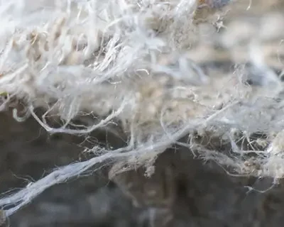 Asbestos Hazards and Control Course